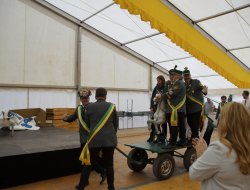 sf monntag 2025070